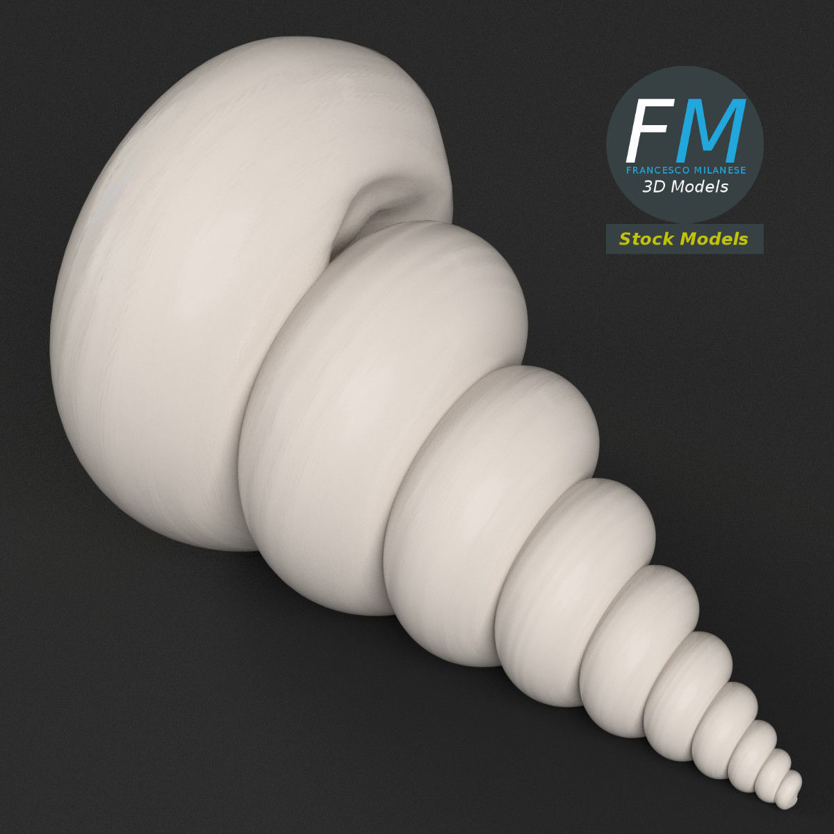 Stylized triton seashell 3D model_2