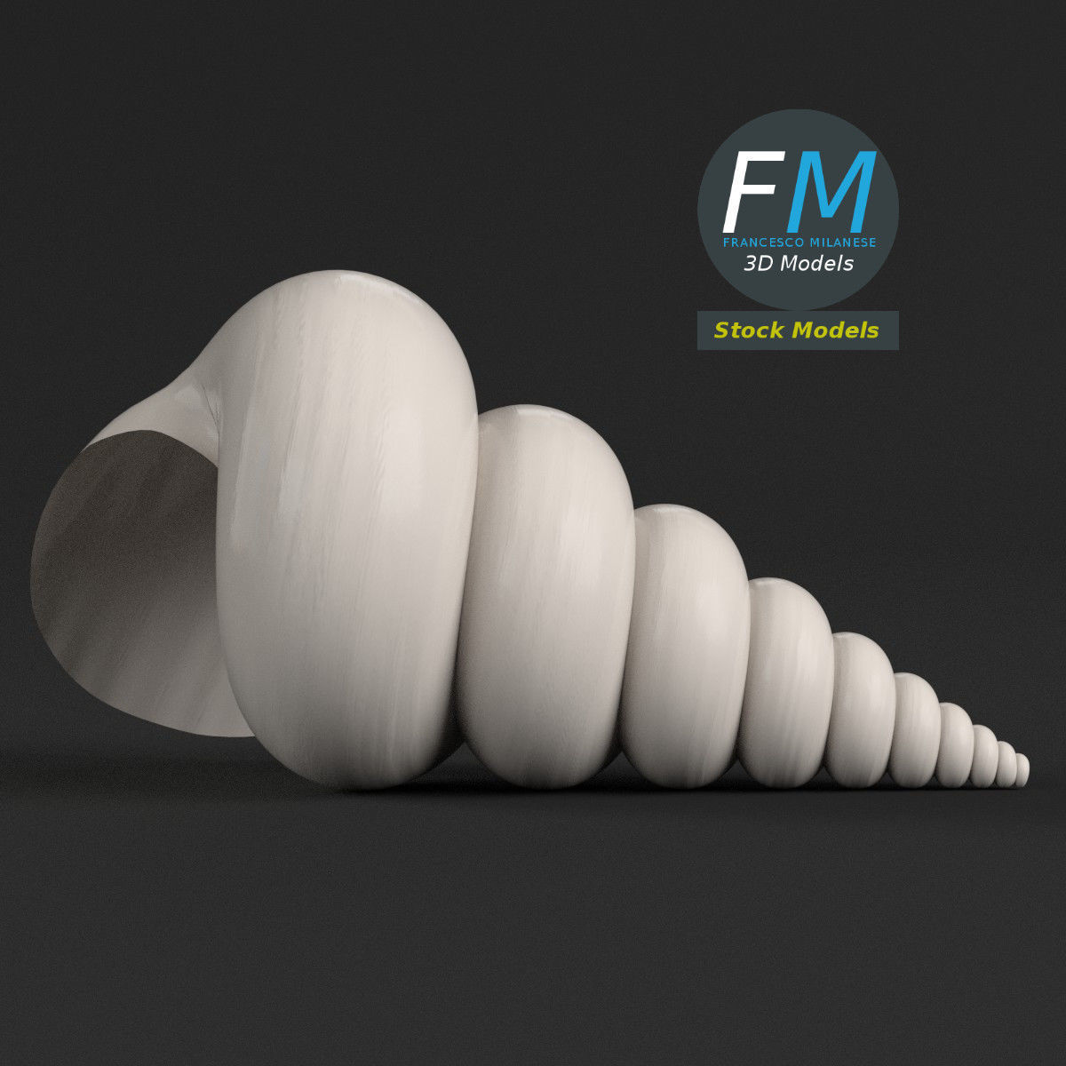 Stylized triton seashell 3D model_3