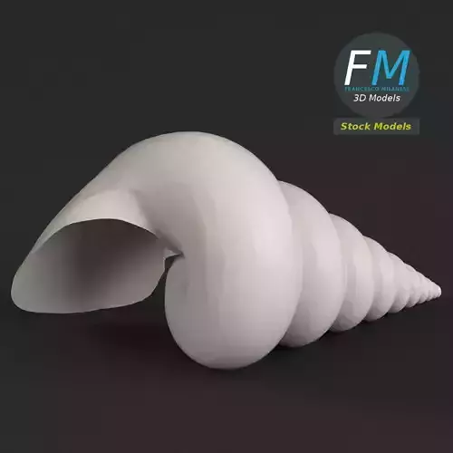 Stylized triton seashell