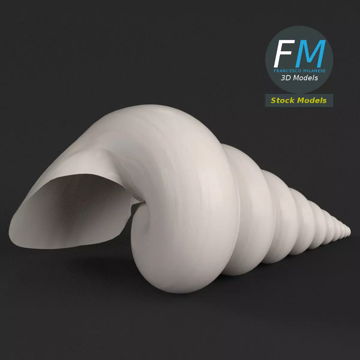 Stylized triton seashell 3D model_0
