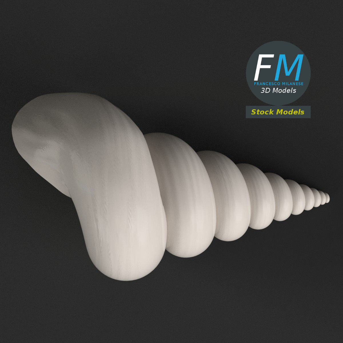 Stylized triton seashell 3D model_6