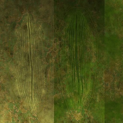 Lib Flowers Low-poly 3D model_13