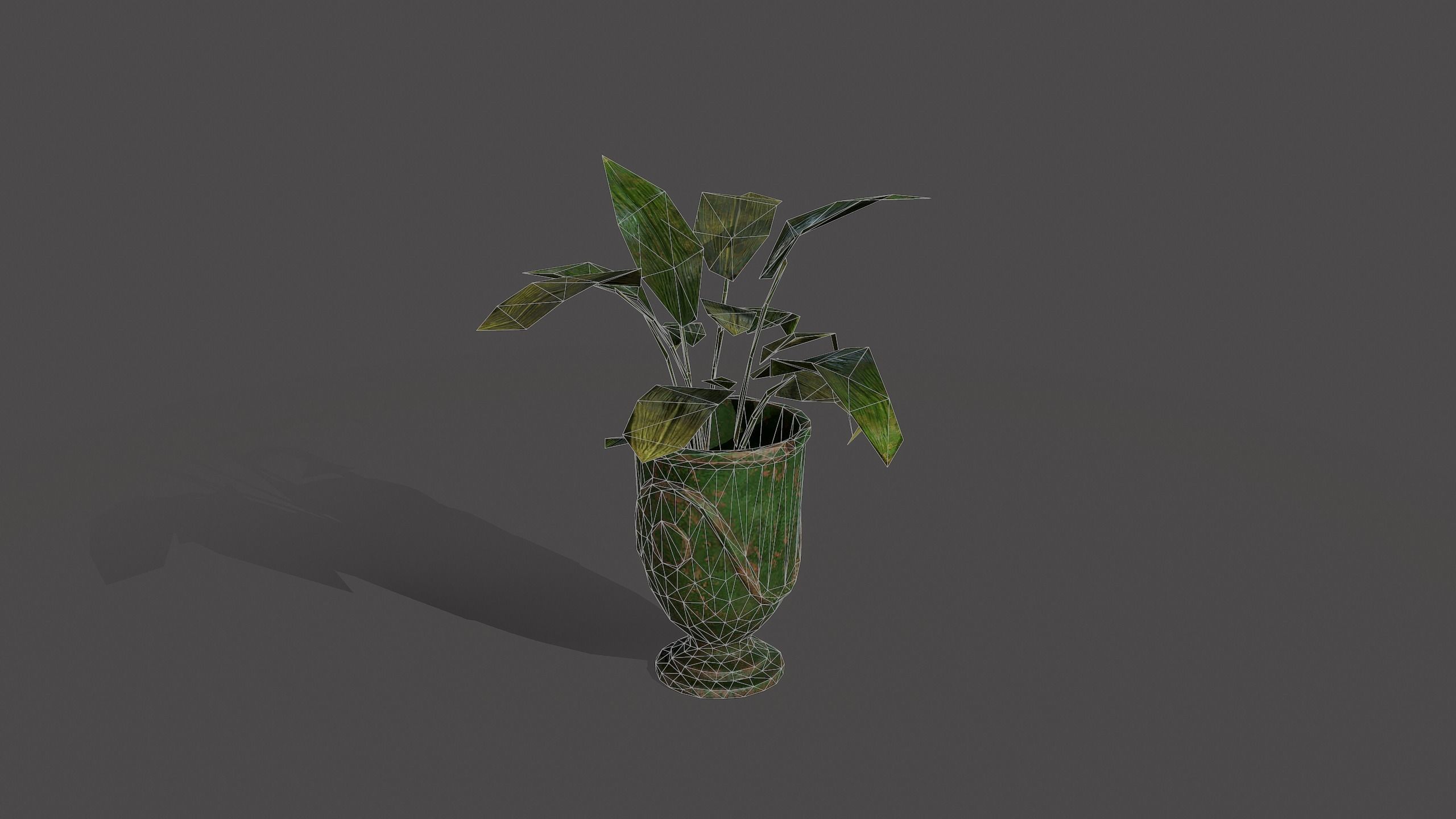 Lib Flowers Low-poly 3D model_9