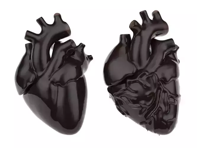 Heart chocolate 3D model