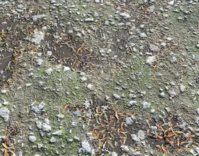 Ground with Pebbles seamless PBR Texture