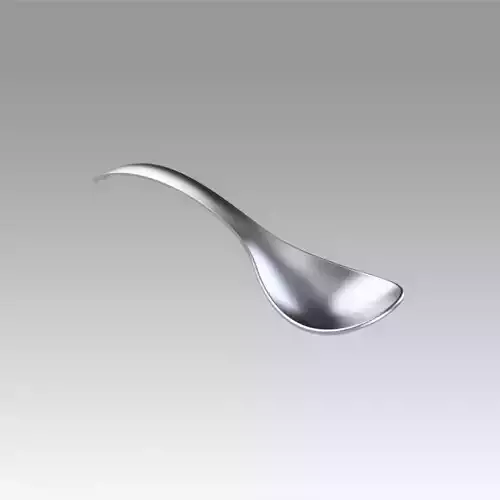 Spoon