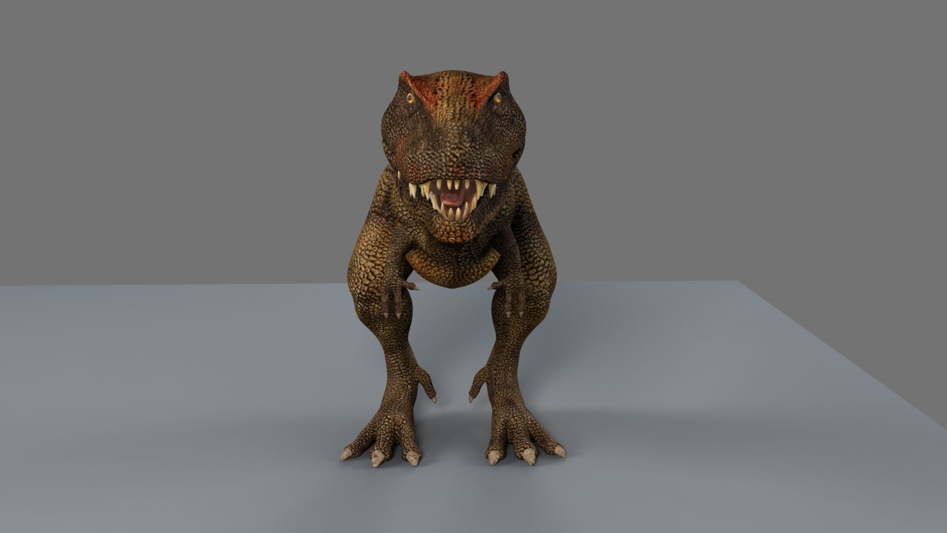 T-Rex t - rex dinosaur 3D model_20