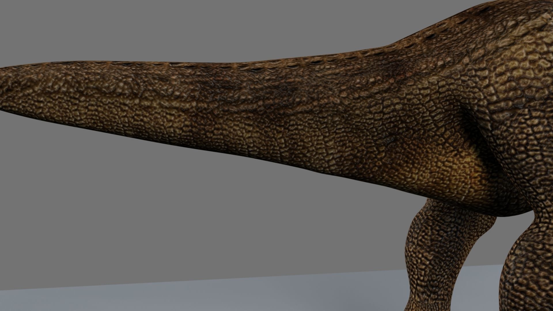 T-Rex t - rex dinosaur 3D model_23
