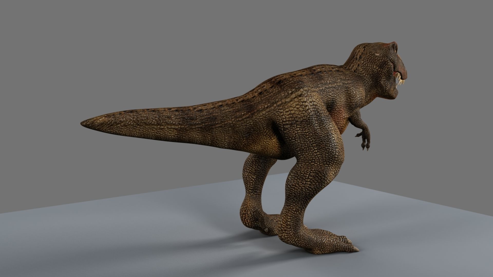 T-Rex t - rex dinosaur 3D model_14