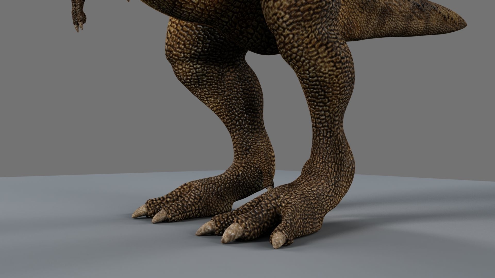 T-Rex t - rex dinosaur 3D model_16