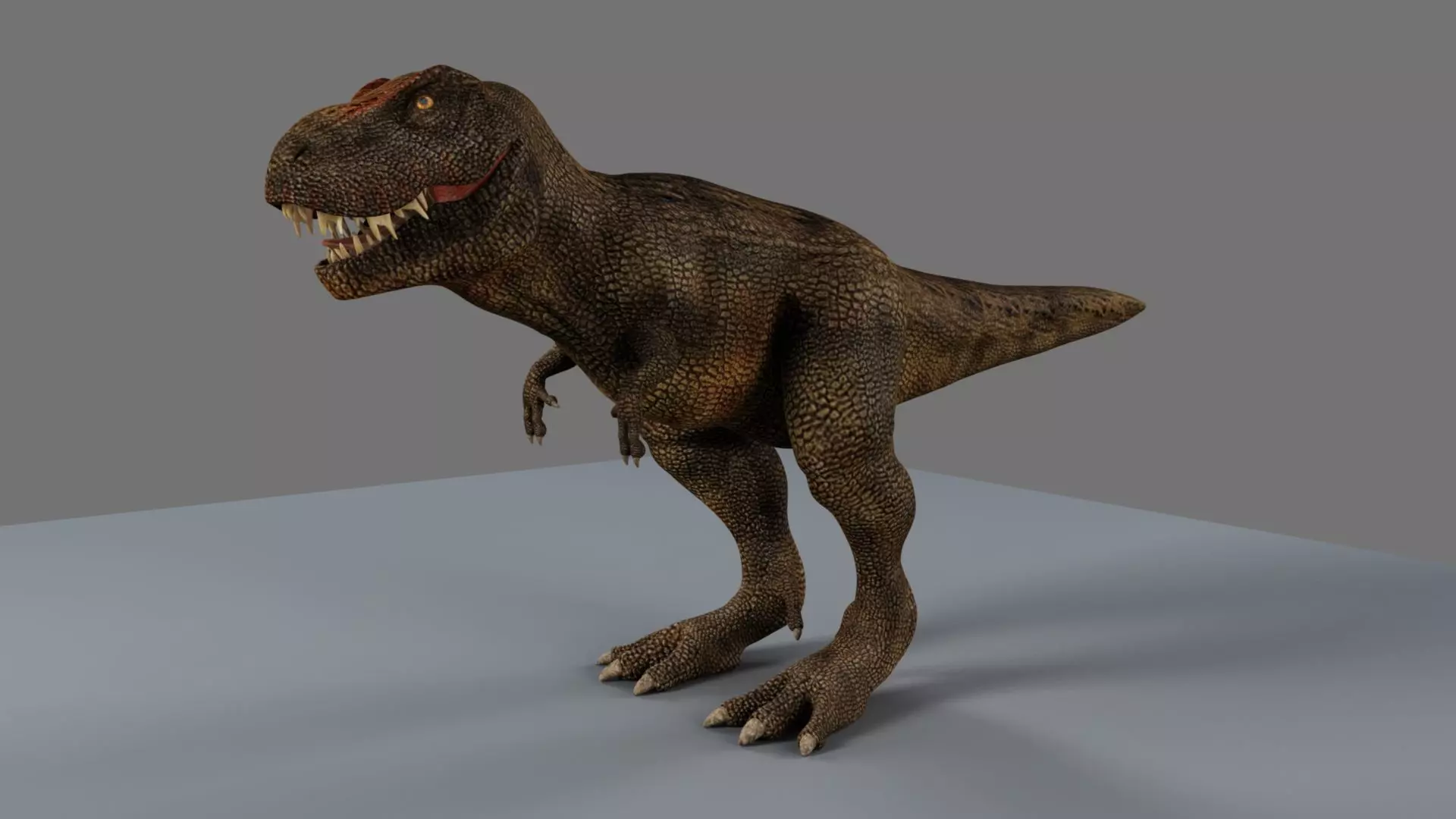 T-Rex t - rex dinosaur 3D model_0