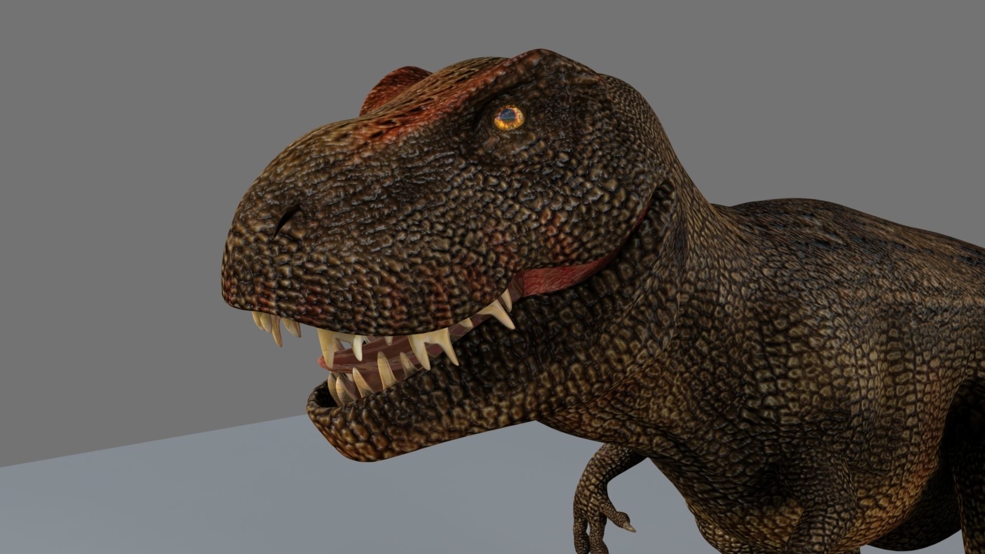 T-Rex t - rex dinosaur 3D model_19