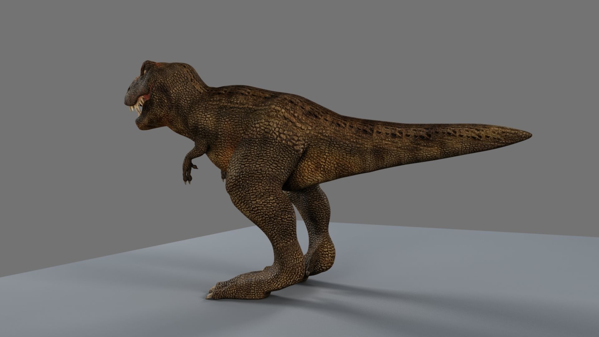 T-Rex t - rex dinosaur 3D model_13