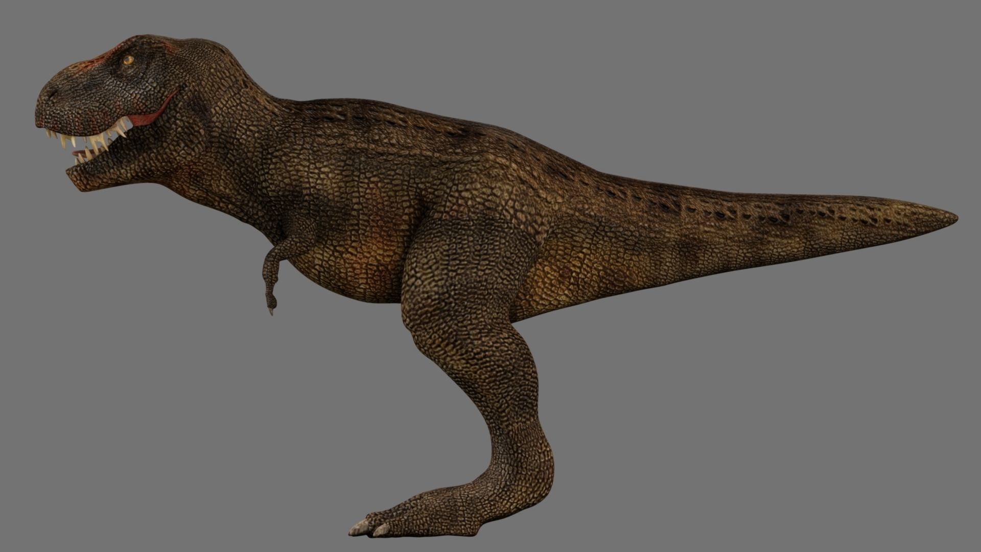 T-Rex t - rex dinosaur 3D model_21