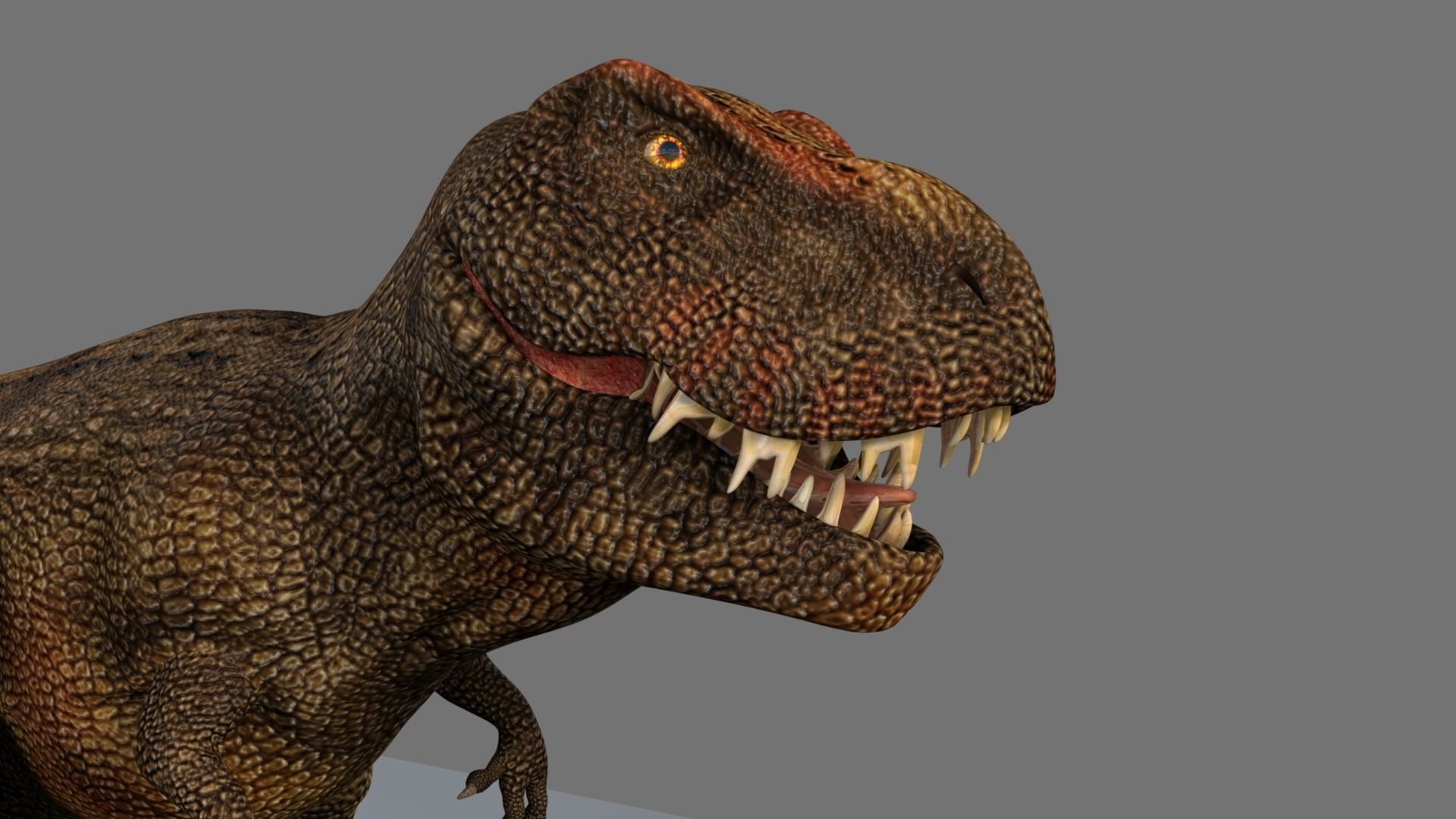T-Rex t - rex dinosaur 3D model_17