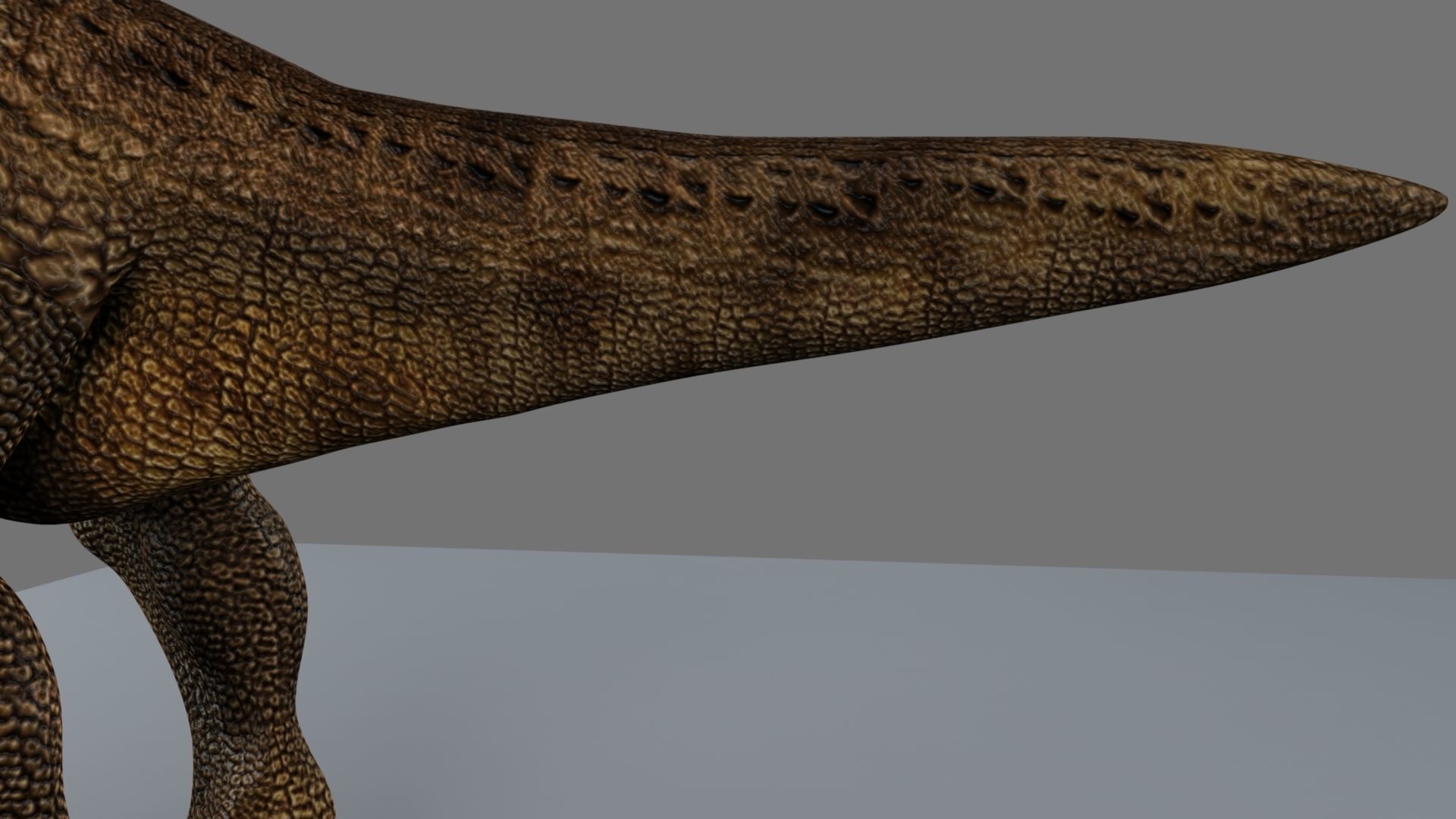 T-Rex t - rex dinosaur 3D model_18
