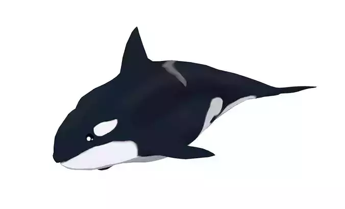 Killer whale Low-poly 3D model
