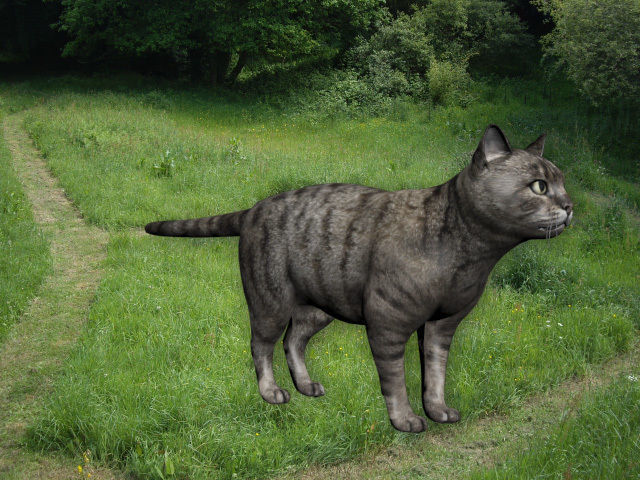 Cat in grass Low-poly 3D model_3