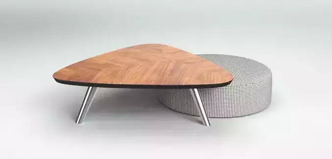 Coffee Table and Ottoman