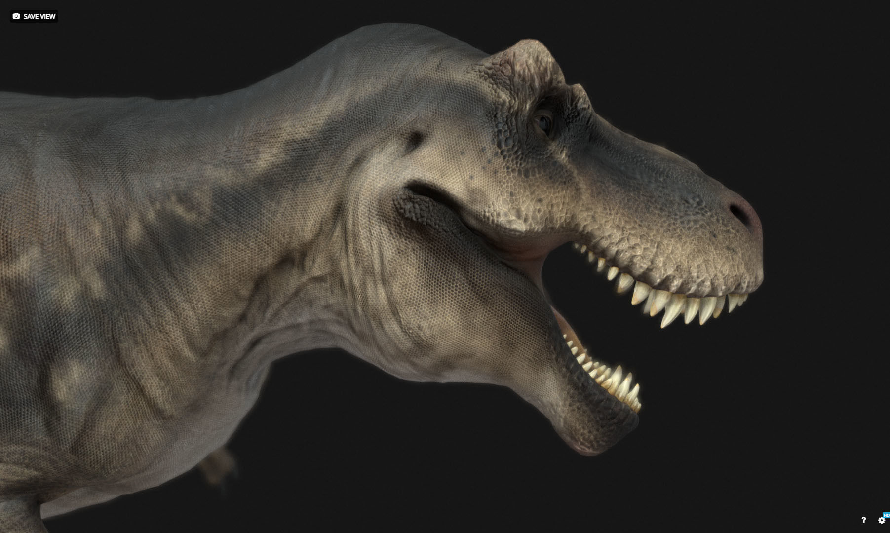 Tyrannosauru rex Low-poly 3D model_1