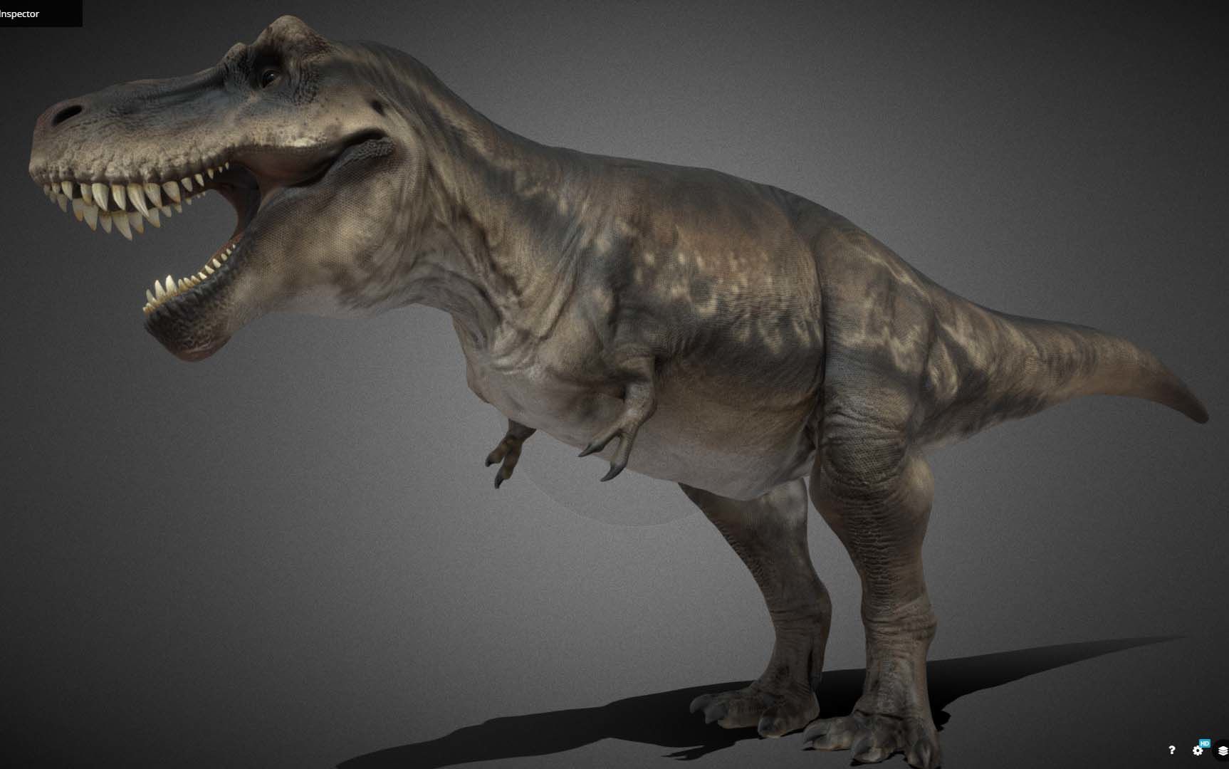 Tyrannosauru rex Low-poly 3D model_3