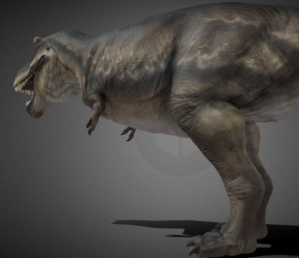 Tyrannosauru rex Low-poly 3D model_6
