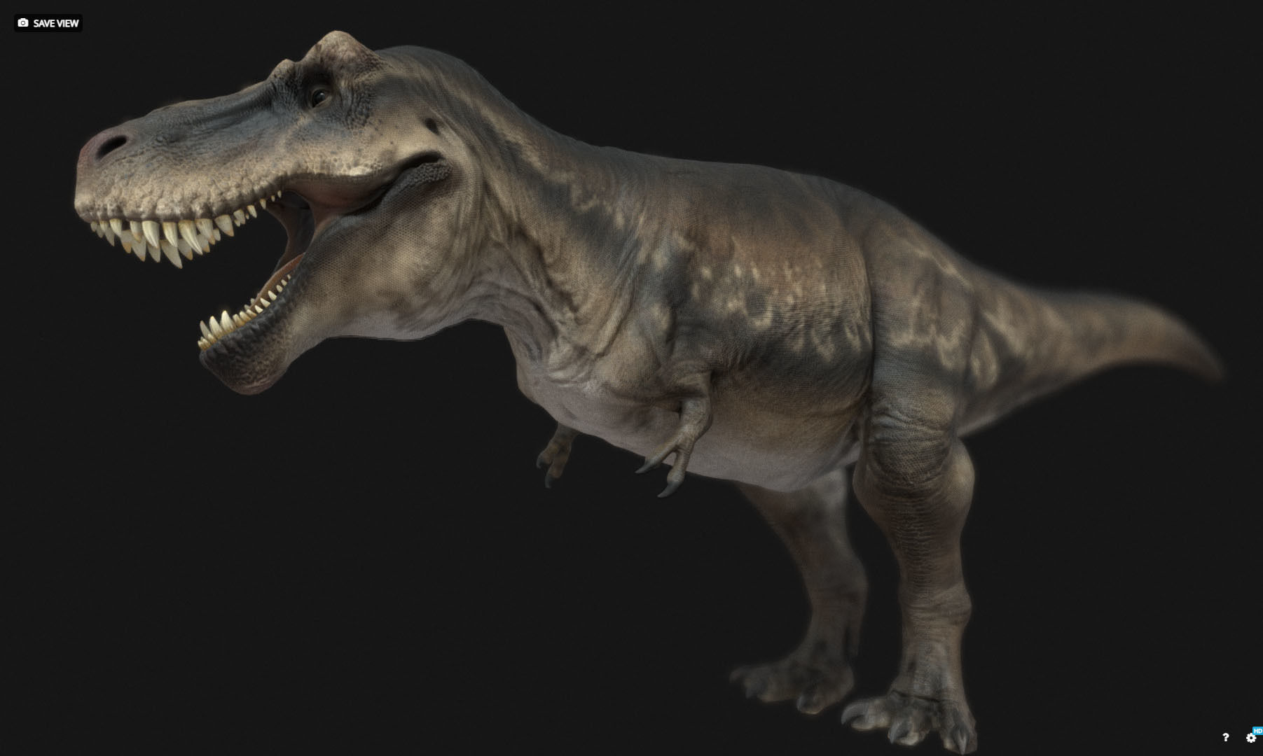 Tyrannosauru rex Low-poly 3D model_2