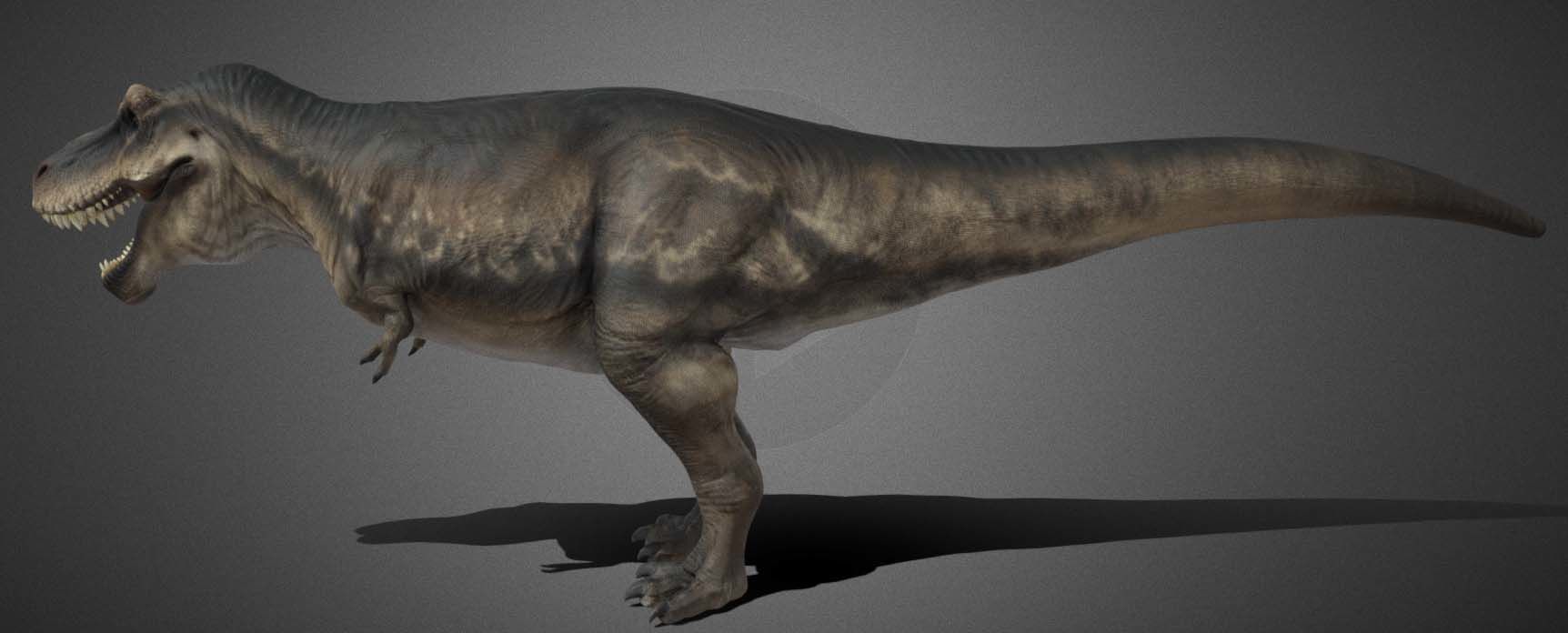 Tyrannosauru rex Low-poly 3D model_5