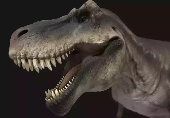 Tyrannosauru rex