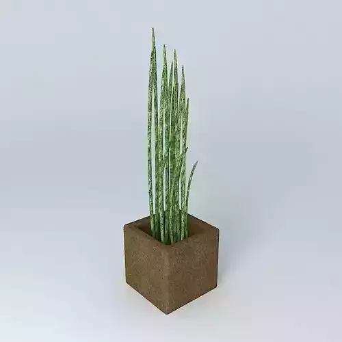 Little plant - Mini Vase