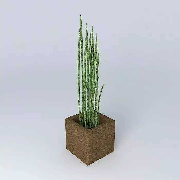 Little plant - Mini Vase Free 3D model
