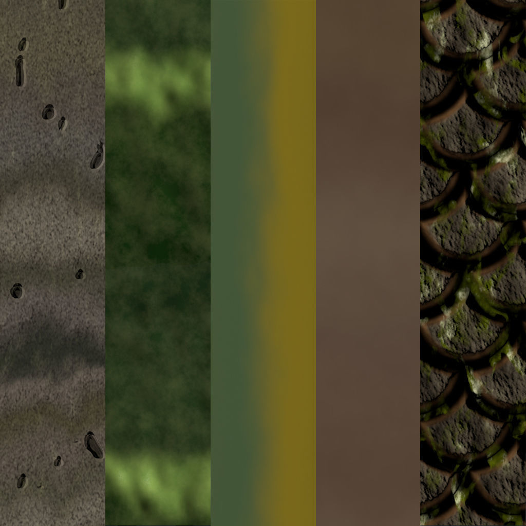 Queen Palm Tree 3D model_7
