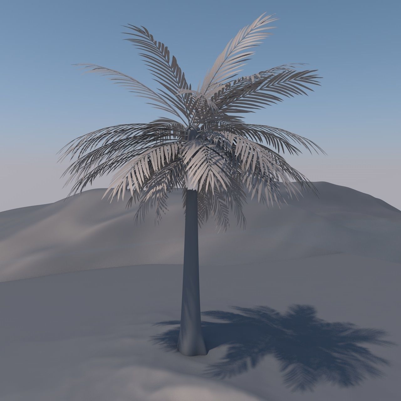 Queen Palm Tree 3D model_6