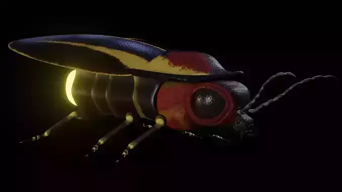 Firefly Realistic model beetle 3D model