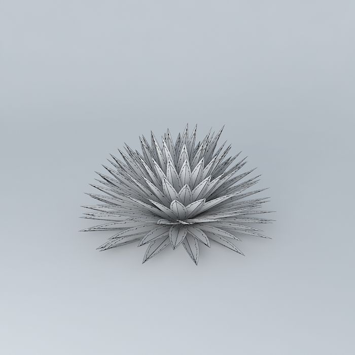 Agave Ground Free 3D model_3