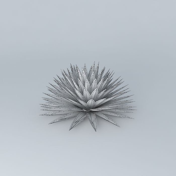 Agave Ground Free 3D model_4
