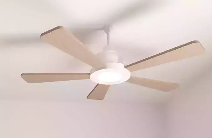 Lighting - Fan