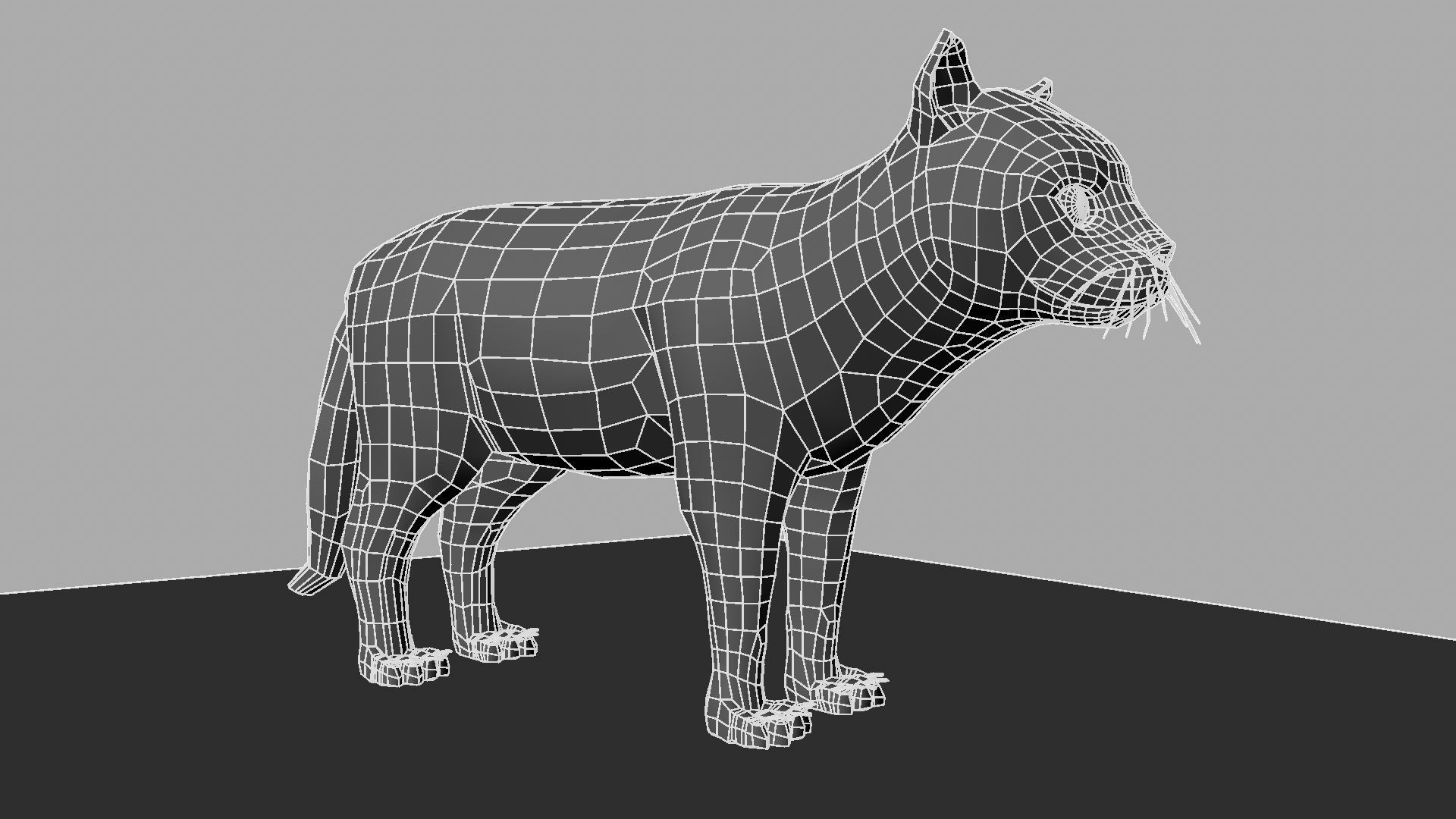 3D Cat with eyes 3D model_22