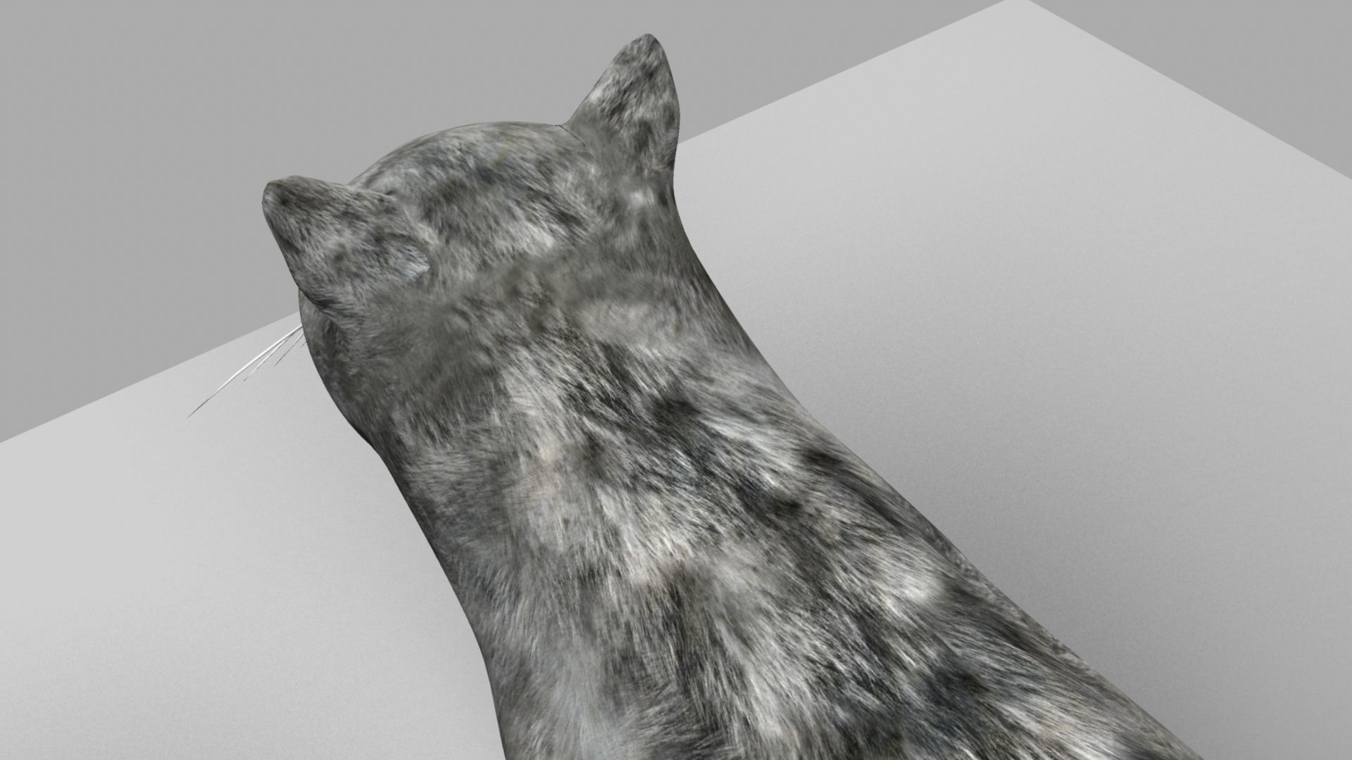 3D Cat with eyes 3D model_13