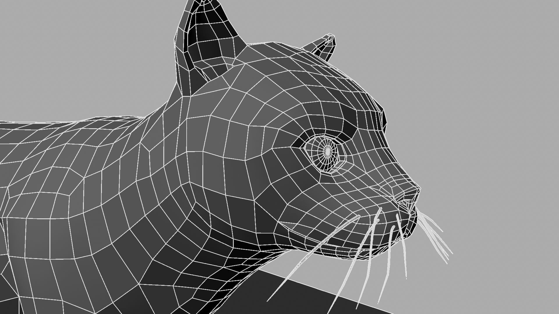 3D Cat with eyes 3D model_27