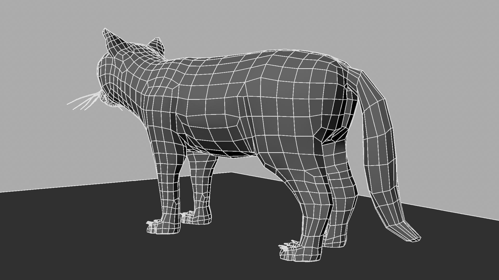 3D Cat with eyes 3D model_16