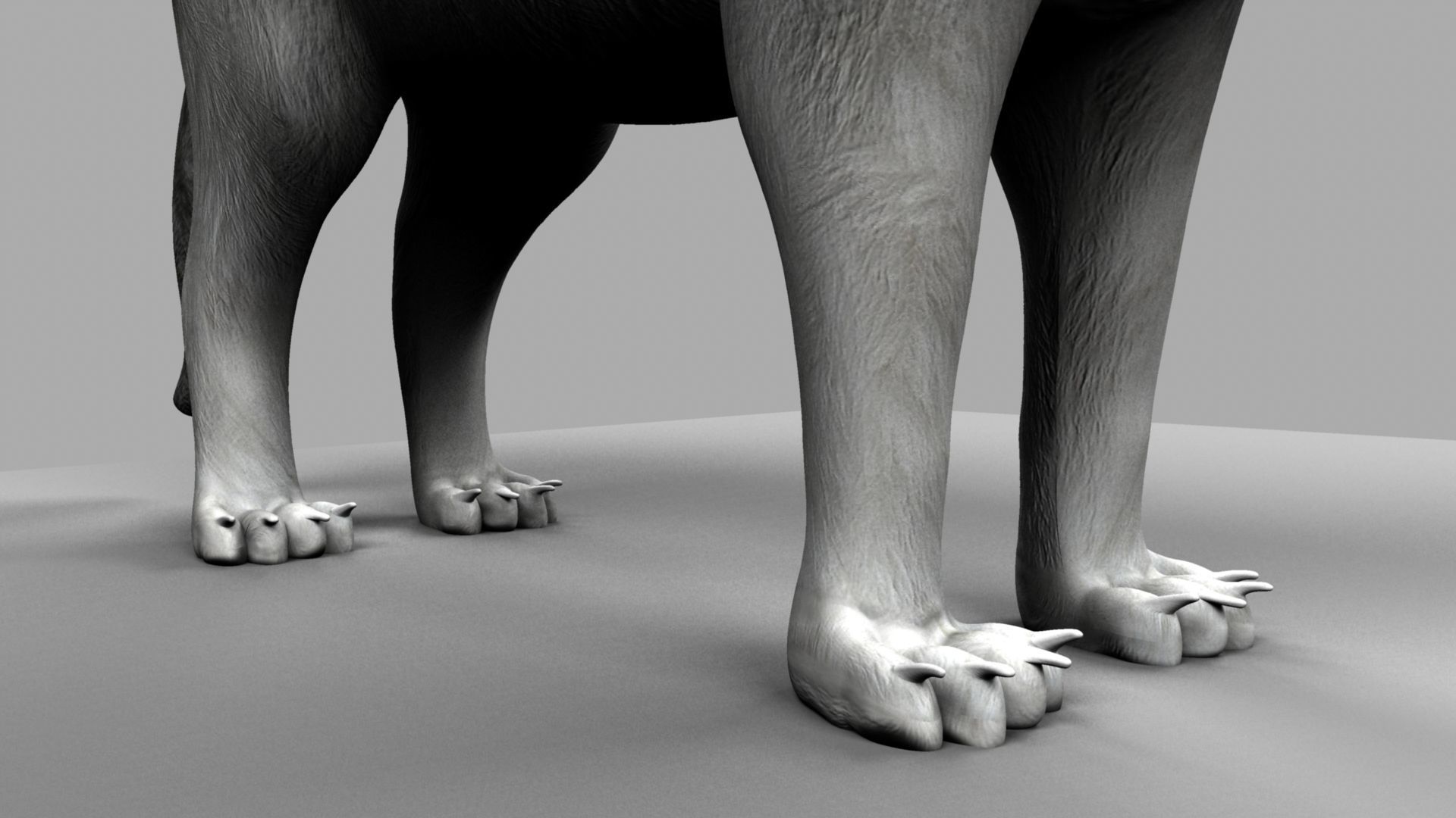 3D Cat with eyes 3D model_18