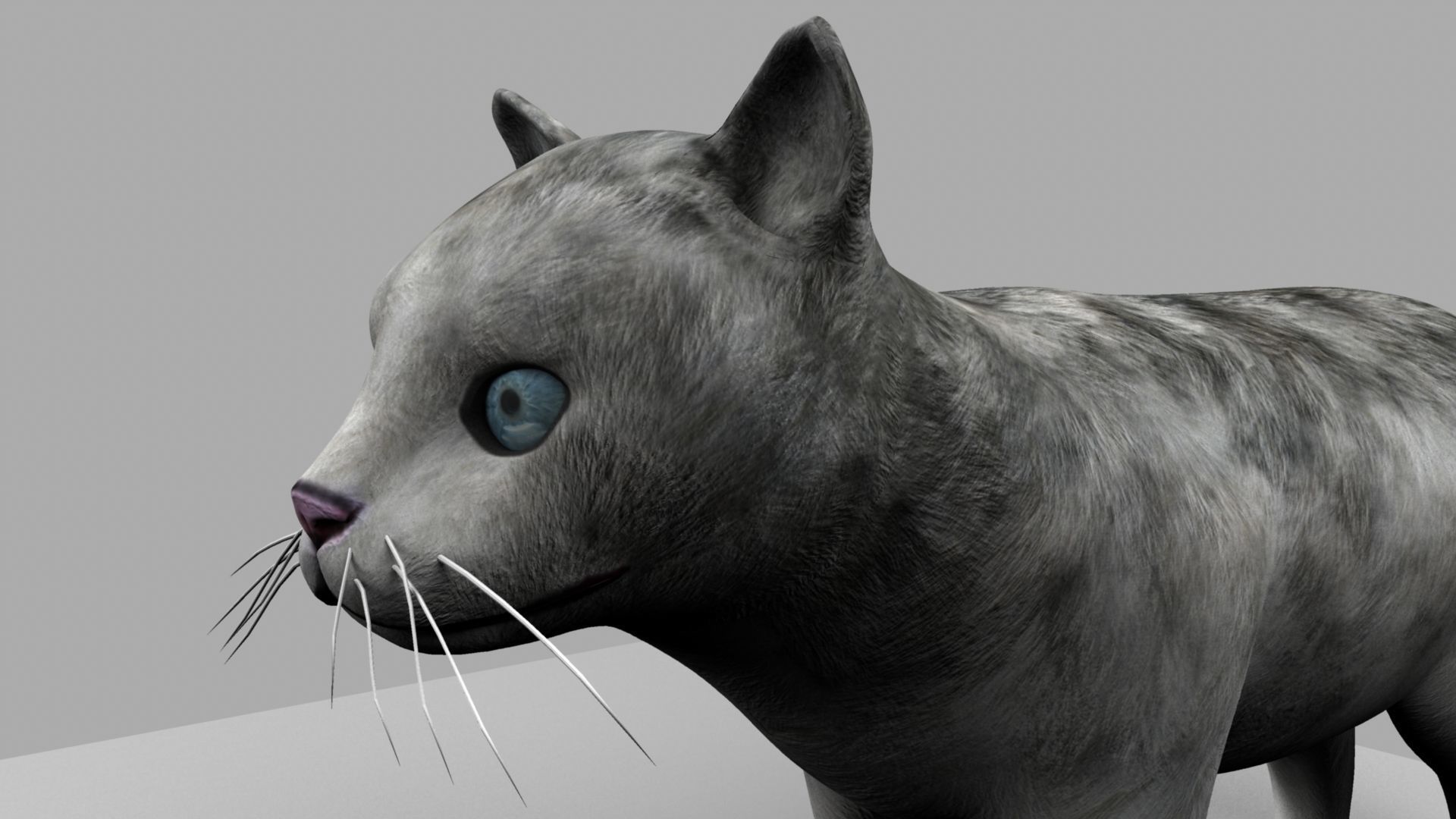 3D Cat with eyes 3D model_12
