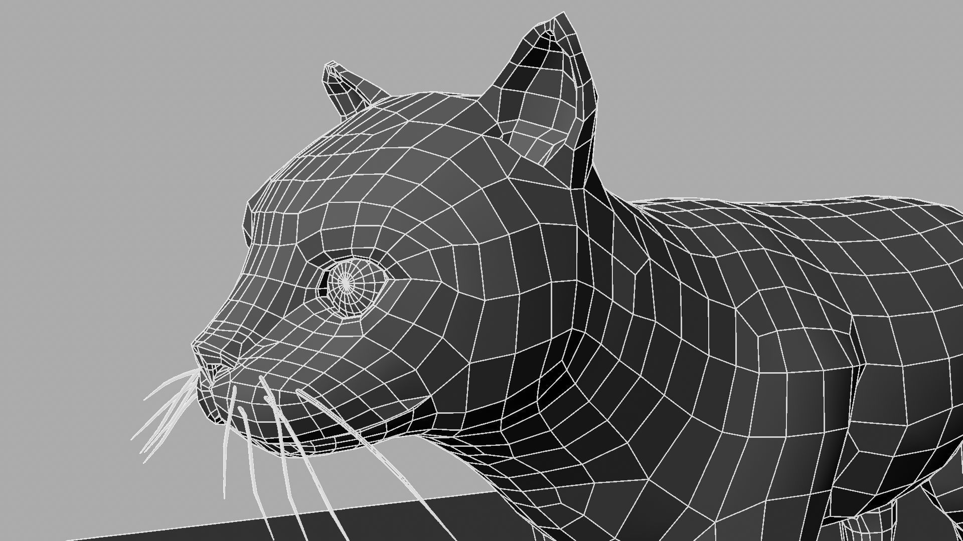 3D Cat with eyes 3D model_28