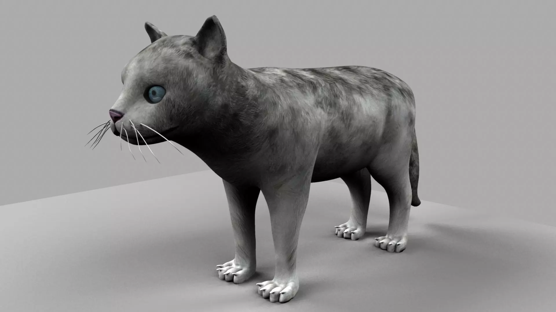 3D Cat with eyes 3D model_0