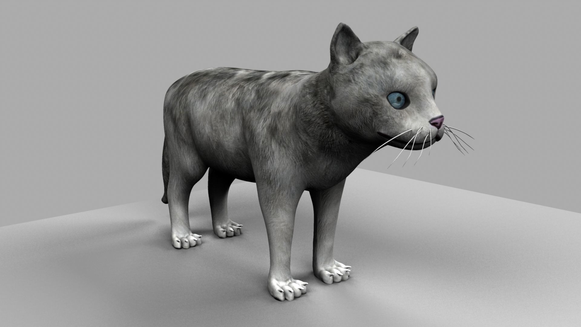 3D Cat with eyes 3D model_2