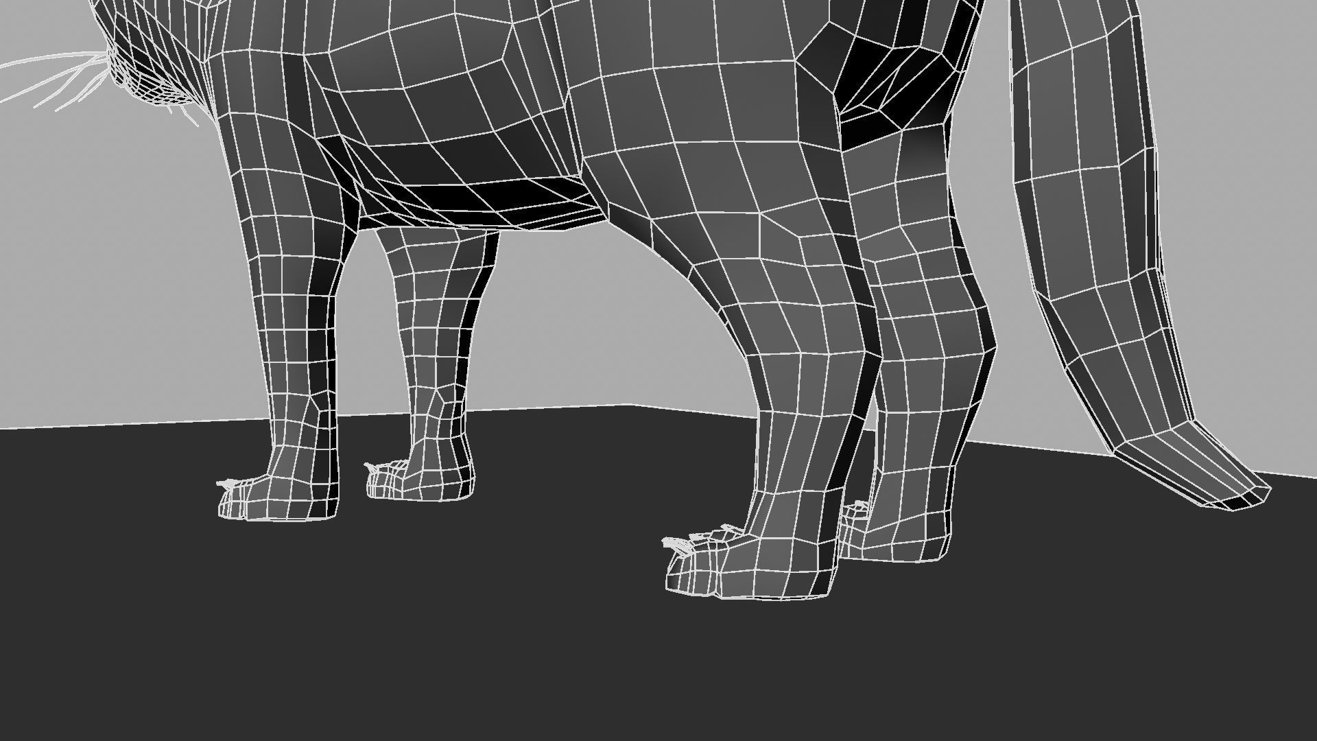 3D Cat with eyes 3D model_24