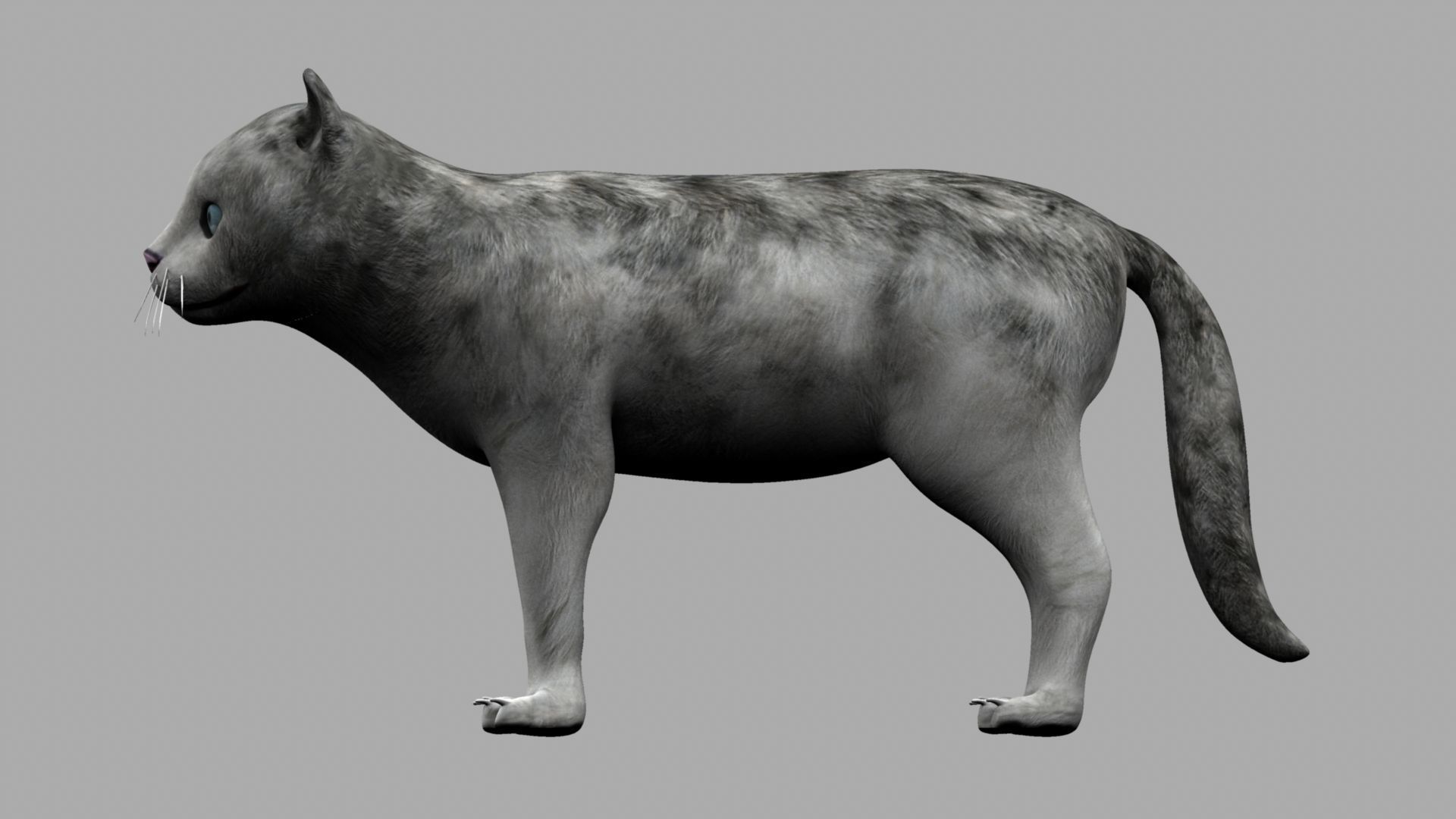 3D Cat with eyes 3D model_15