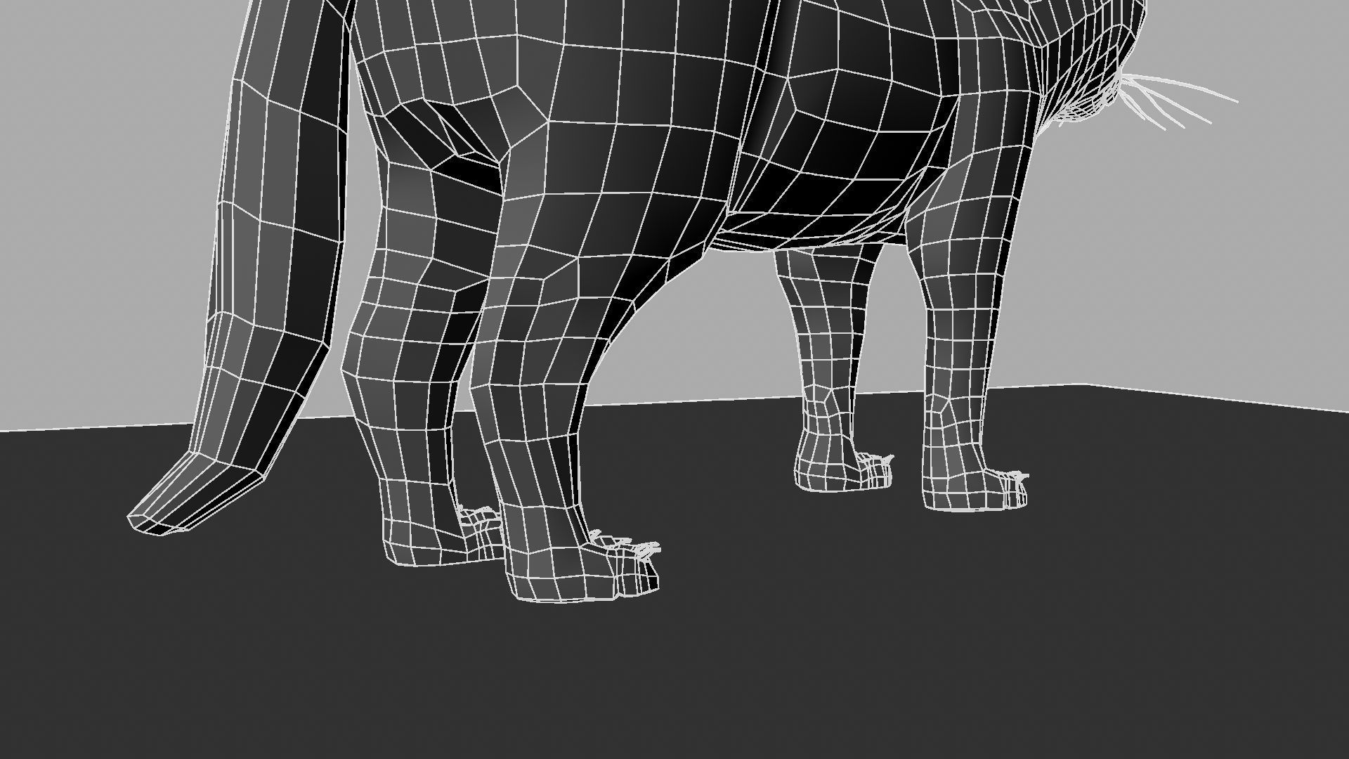 3D Cat with eyes 3D model_26