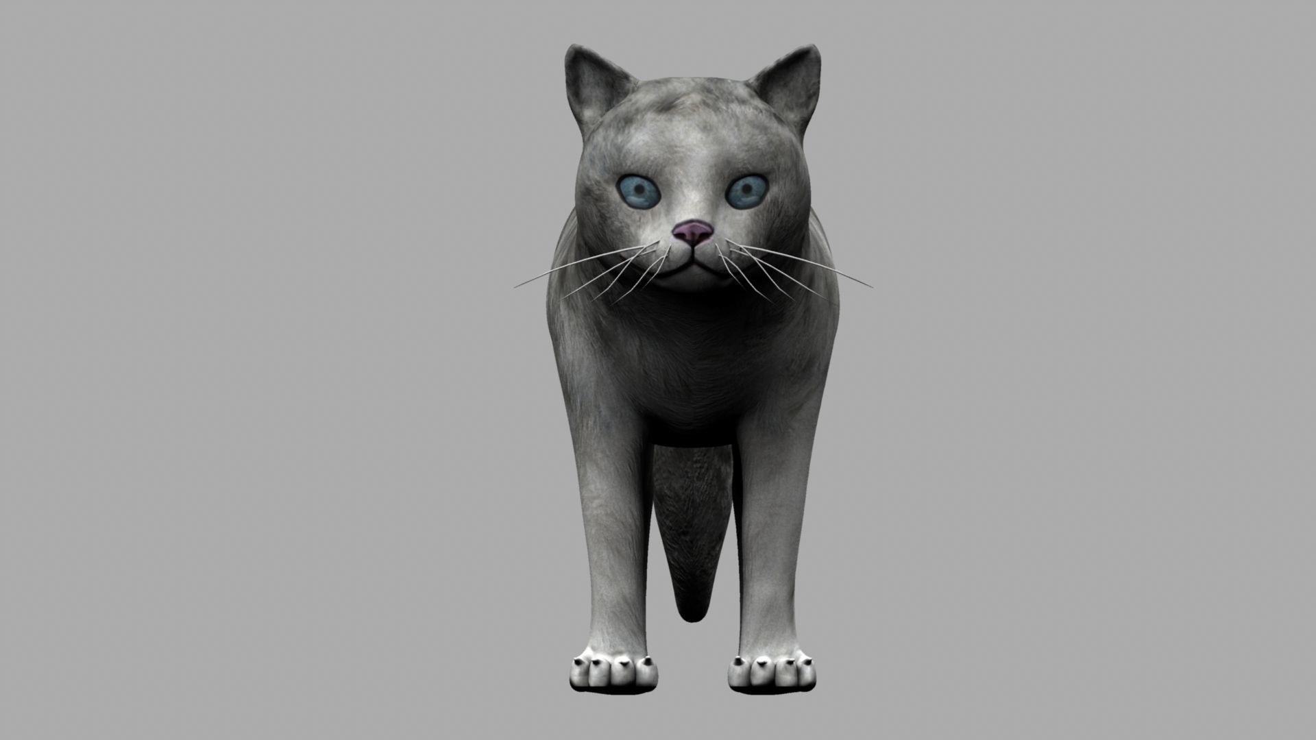 3D Cat with eyes 3D model_8